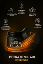 gid://shopify/MediaImage/33691372224668